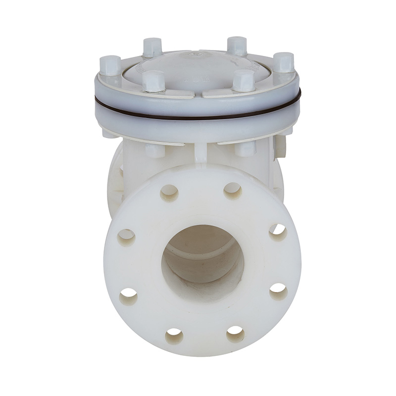 PVDF H44F-10F nepovratni ventil tipa DN15-300 GB Standard