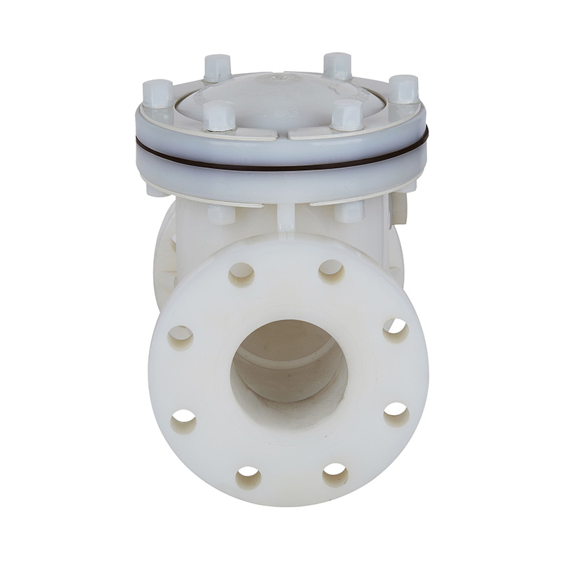 PVDF H44F-10F nepovratni ventil tipa DN15-300 1/2'-12' ANSI standard