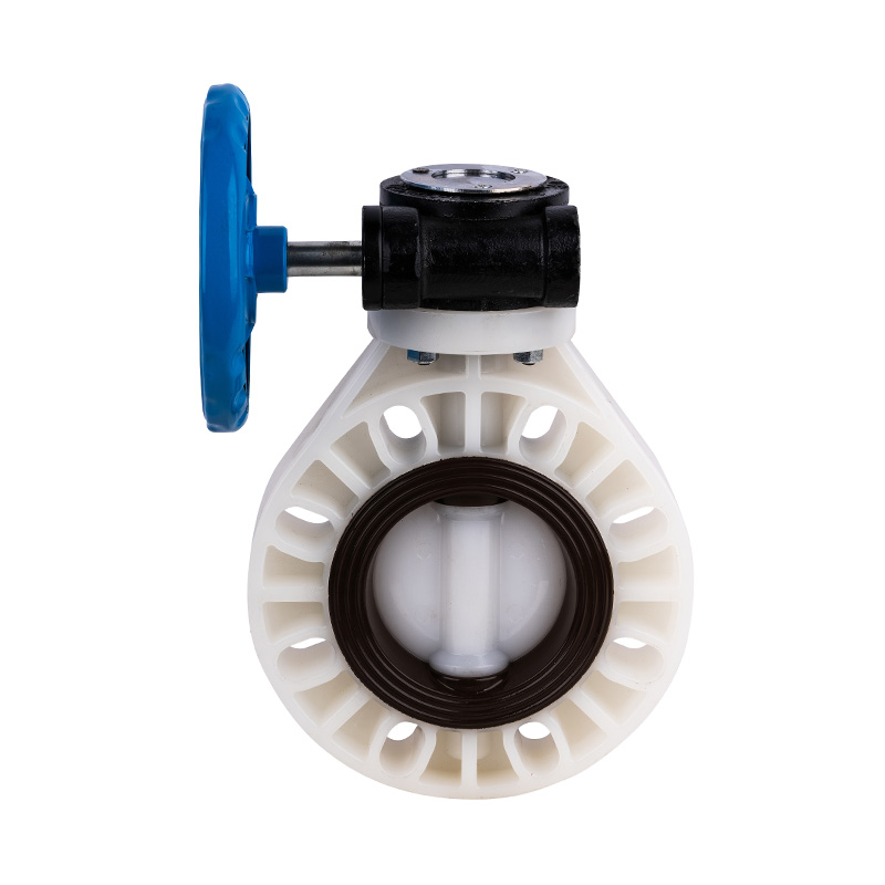 PVDF D371X-10F leptir ventil s pužnim zupčanikom DN32-1000 GB Standard